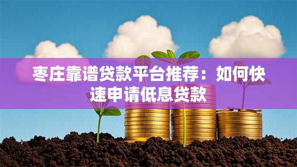 枣庄靠谱贷款平台推荐：如何快速申请低息贷款