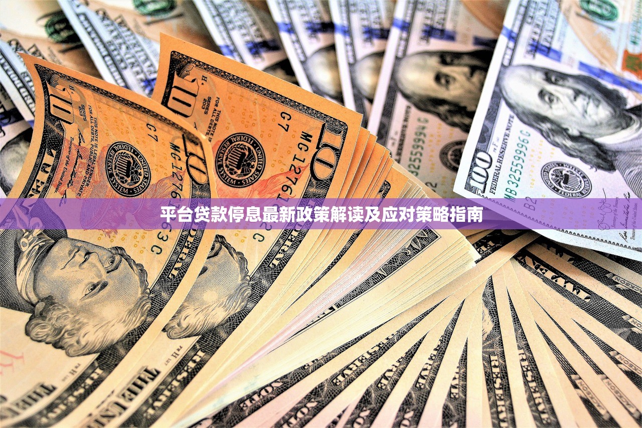 平台贷款停息最新政策解读及应对策略指南