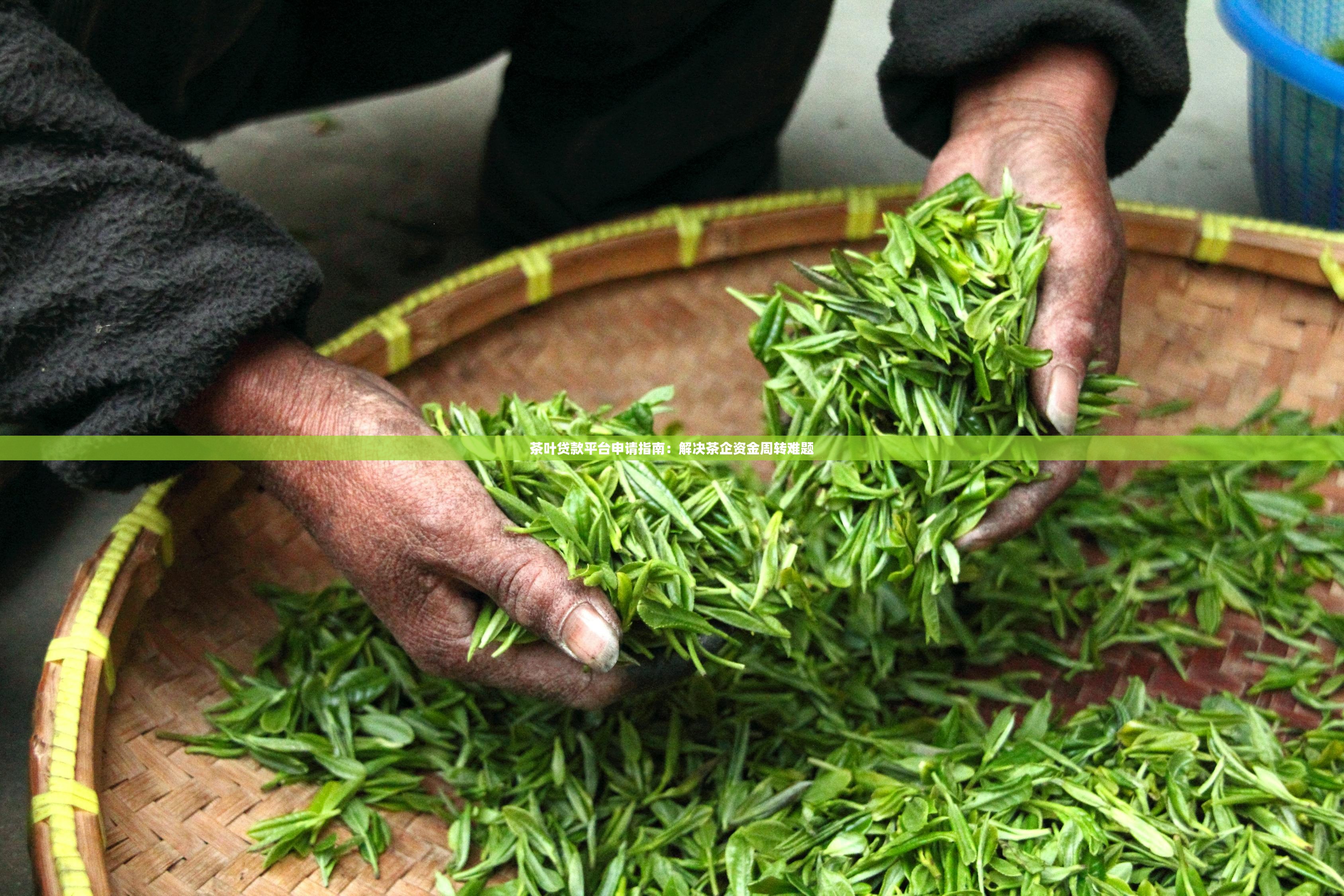 茶叶贷款平台申请指南：解决茶企资金周转难题
