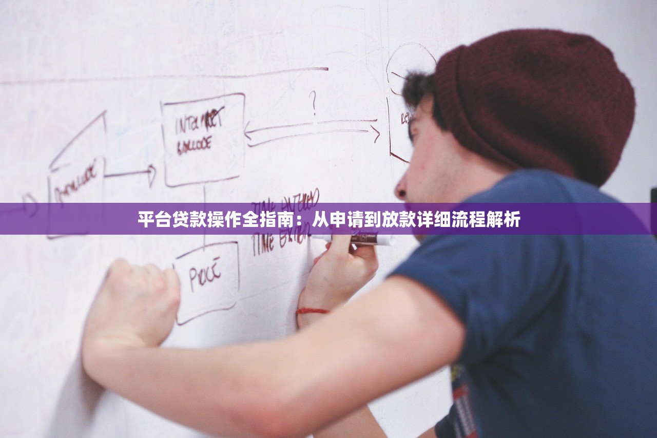 平台贷款操作全指南：从申请到放款详细流程解析