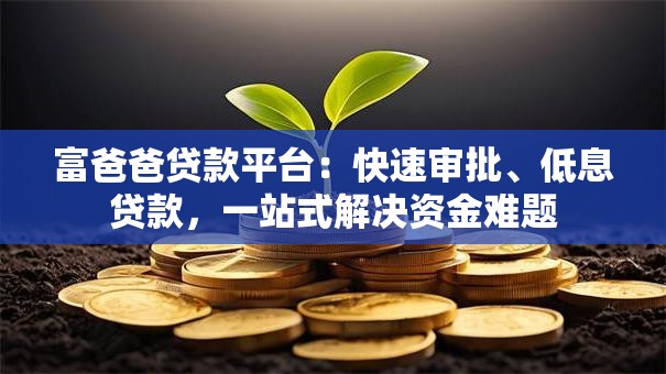 富爸爸贷款平台：快速审批、低息贷款，一站式解决资金难题