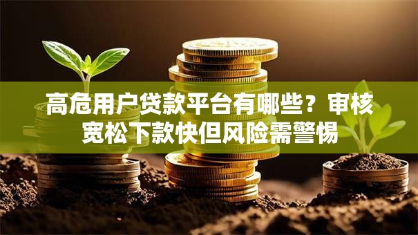 高危用户贷款平台有哪些？审核宽松下款快但风险需警惕