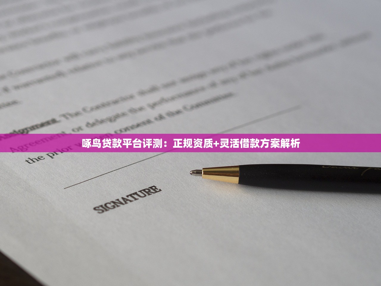 啄鸟贷款平台评测：正规资质+灵活借款方案解析