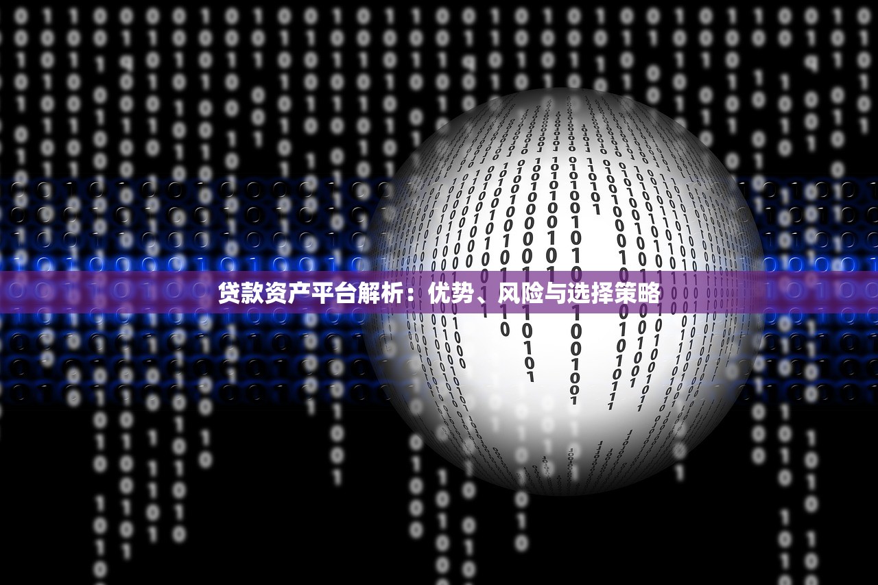 贷款资产平台解析：优势、风险与选择策略