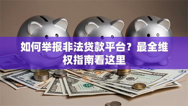 如何举报非法贷款平台？最全维权指南看这里