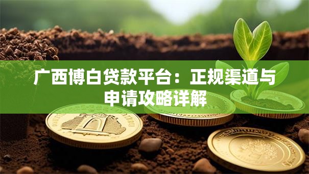广西博白贷款平台：正规渠道与申请攻略详解