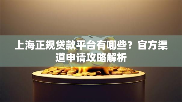 上海正规贷款平台有哪些？官方渠道申请攻略解析