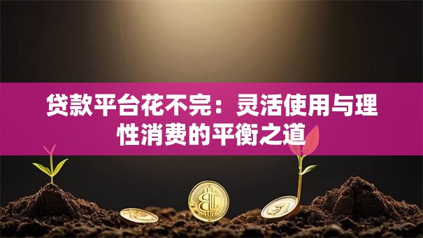 贷款平台花不完：灵活使用与理性消费的平衡之道