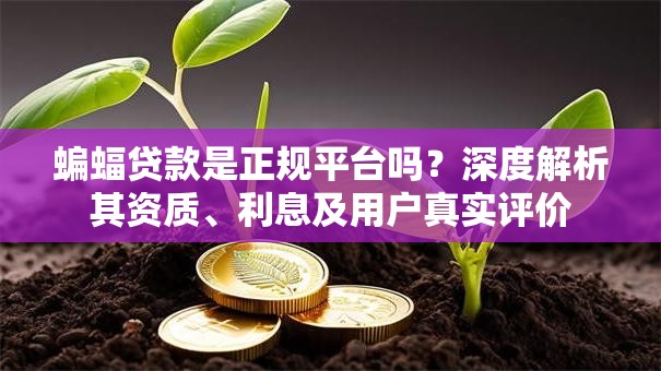 蝙蝠贷款是正规平台吗？深度解析其资质、利息及用户真实评价