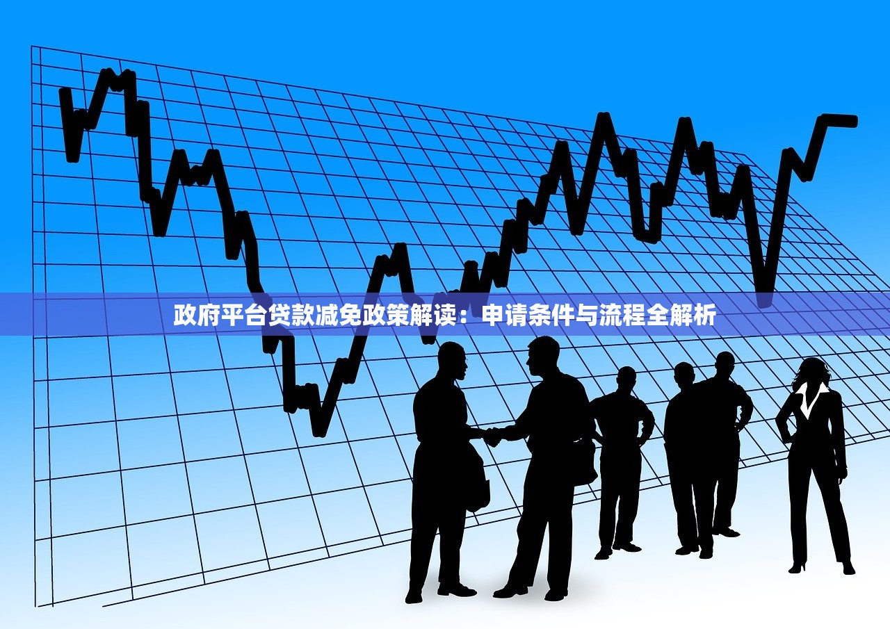 政府平台贷款减免政策解读：申请条件与流程全解析