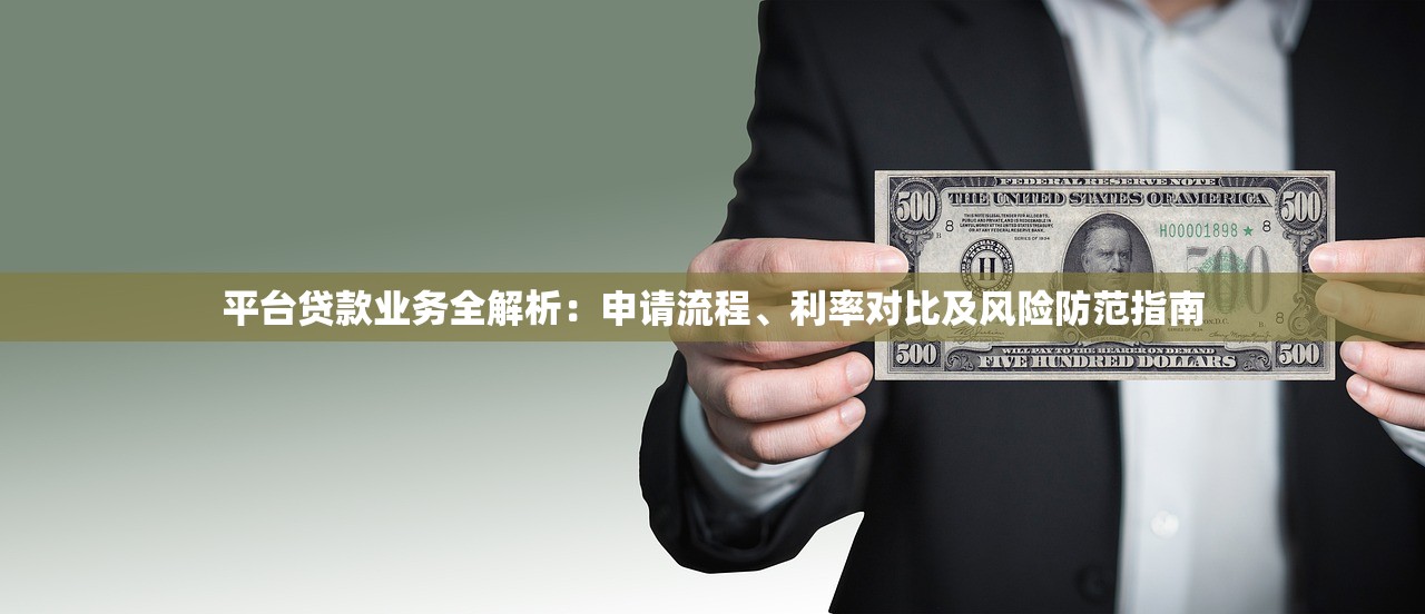 平台贷款业务全解析：申请流程、利率对比及风险防范指南