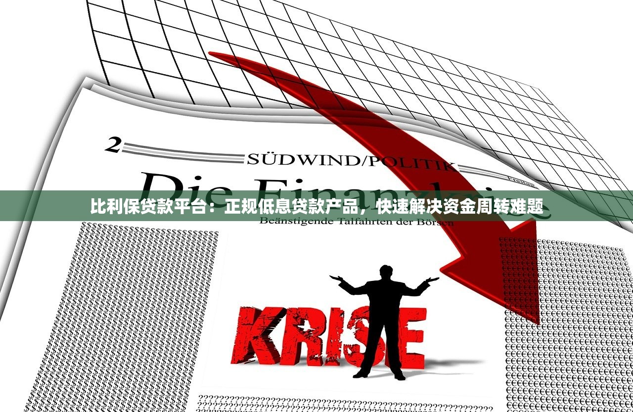 比利保贷款平台：正规低息贷款产品，快速解决资金周转难题