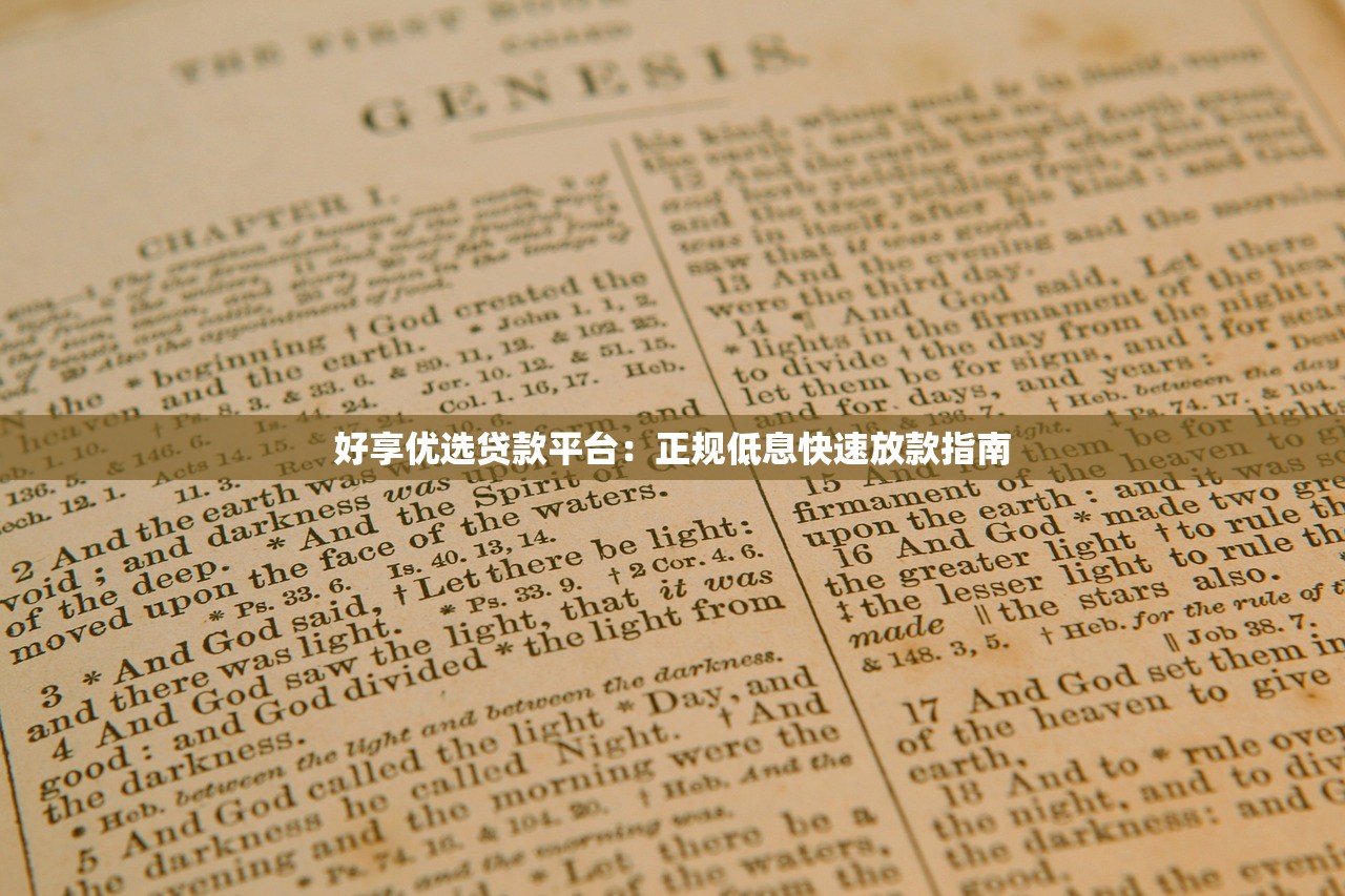 好享优选贷款平台：正规低息快速放款指南