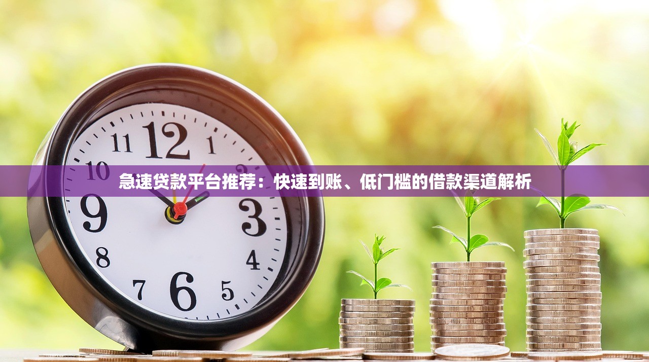 急速贷款平台推荐：快速到账、低门槛的借款渠道解析