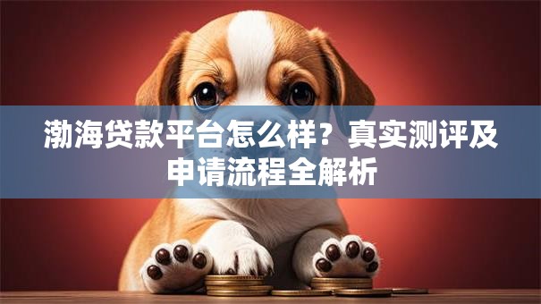 渤海贷款平台怎么样？真实测评及申请流程全解析