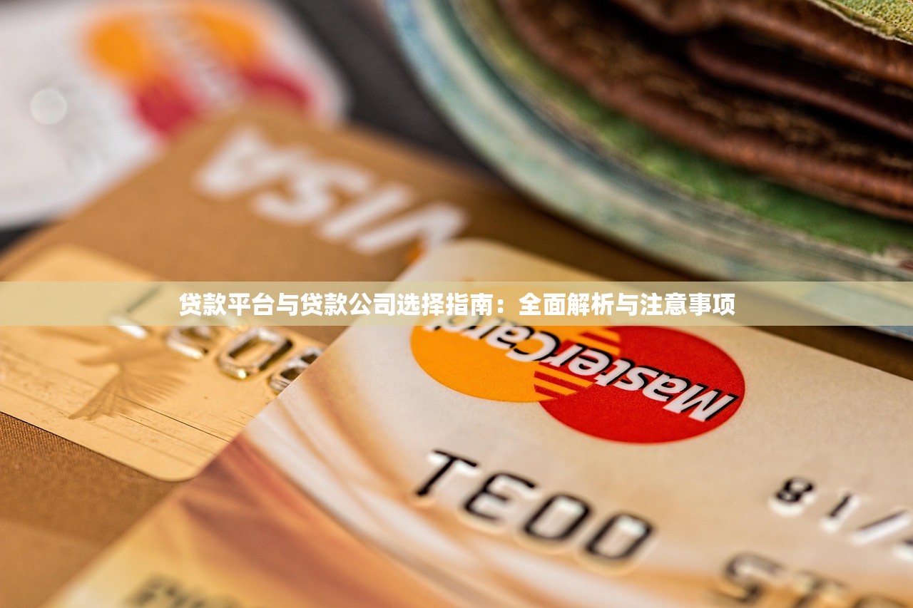 贷款平台与贷款公司选择指南：全面解析与注意事项