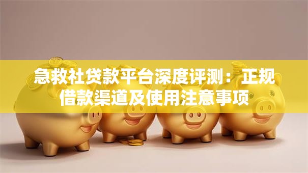 急救社贷款平台深度评测：正规借款渠道及使用注意事项