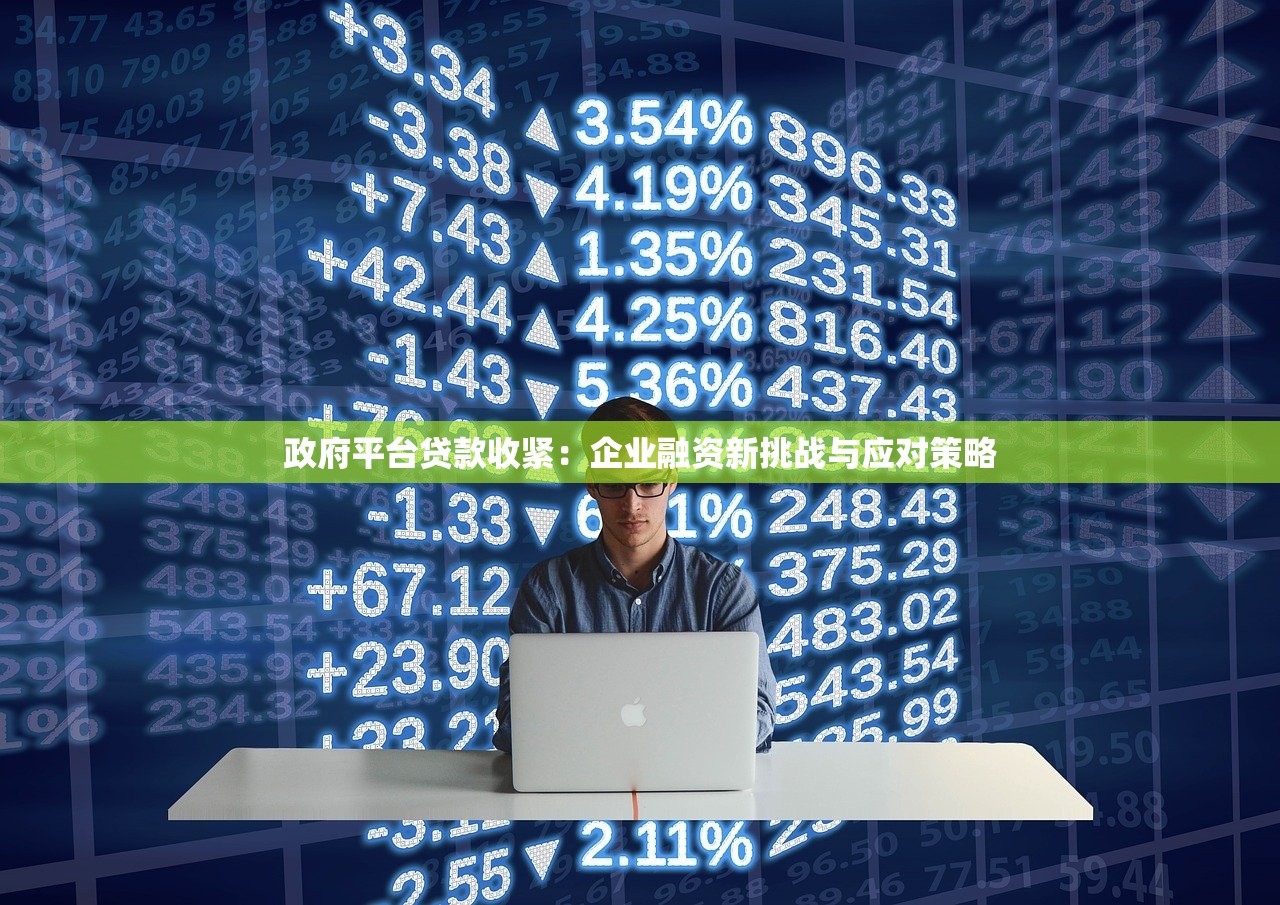 政府平台贷款收紧：企业融资新挑战与应对策略