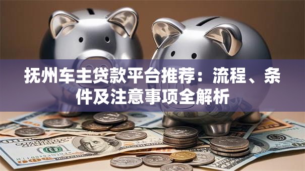 抚州车主贷款平台推荐：流程、条件及注意事项全解析