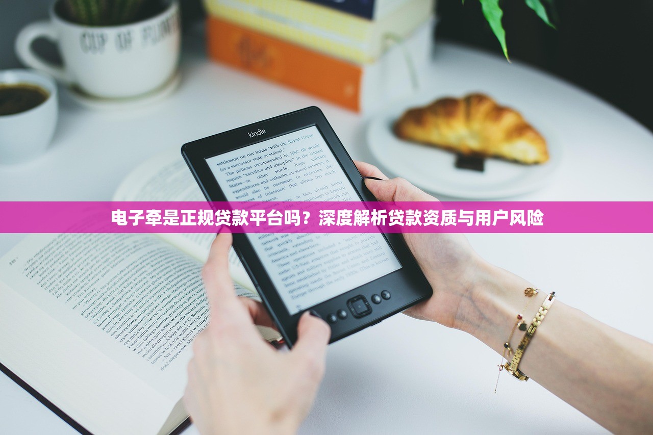 电子牵是正规贷款平台吗？深度解析贷款资质与用户风险