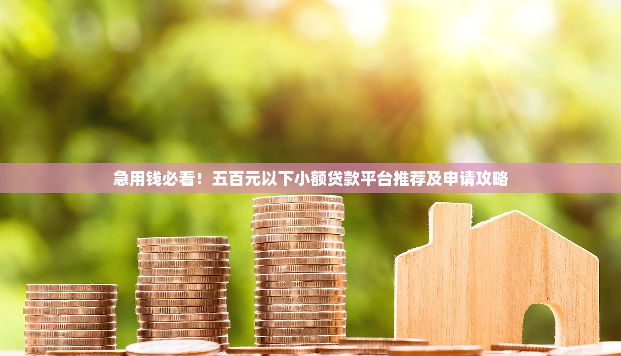 急用钱必看！五百元以下小额贷款平台推荐及申请攻略