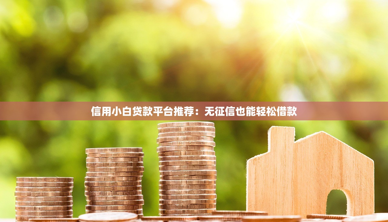 信用小白贷款平台推荐：无征信也能轻松借款