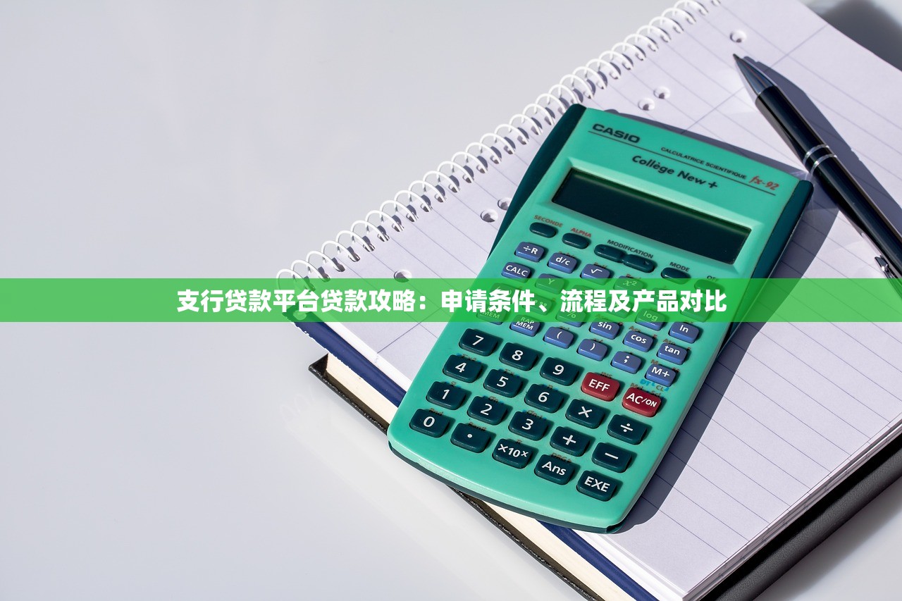 支行贷款平台贷款攻略：申请条件、流程及产品对比