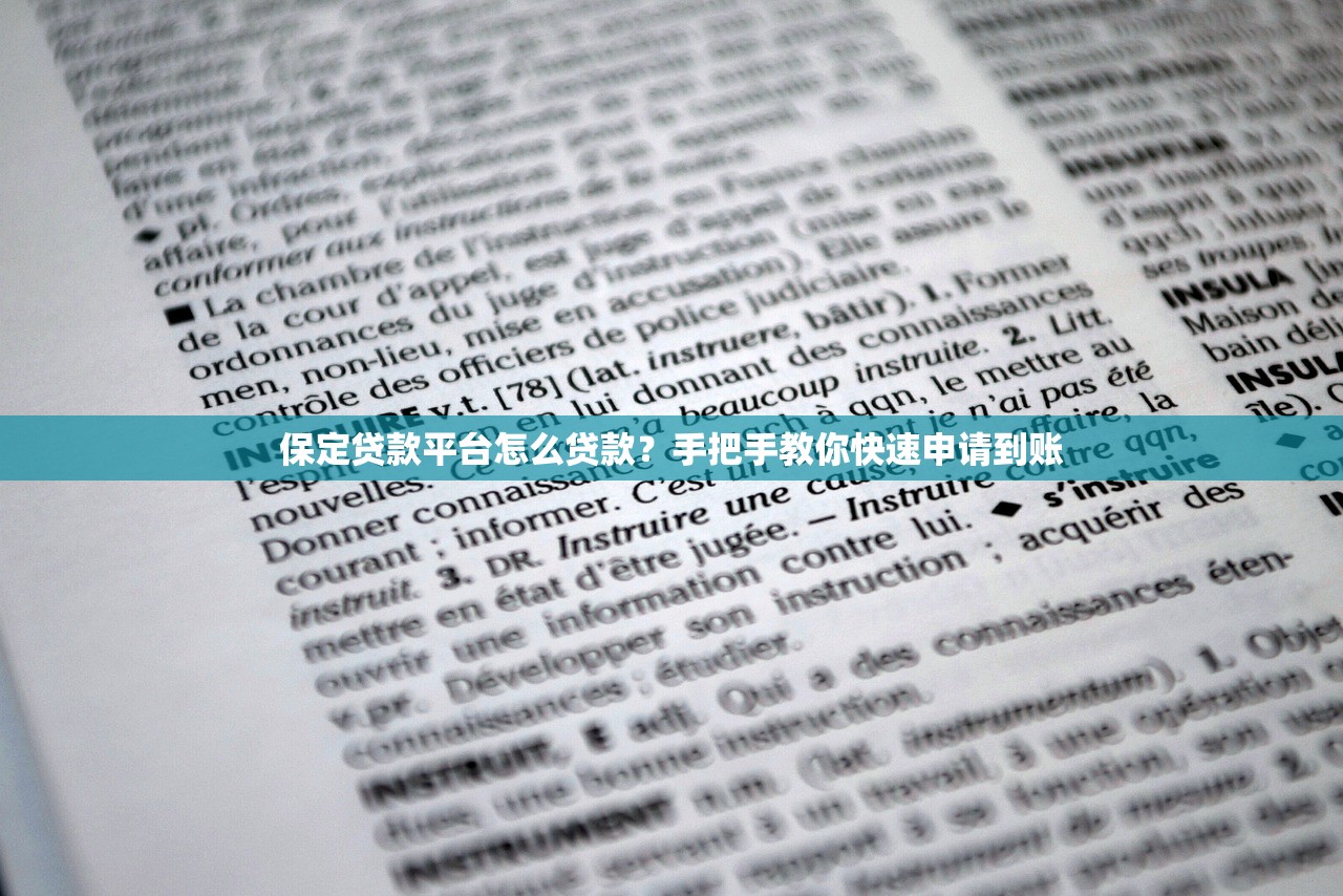 保定贷款平台怎么贷款？手把手教你快速申请到账