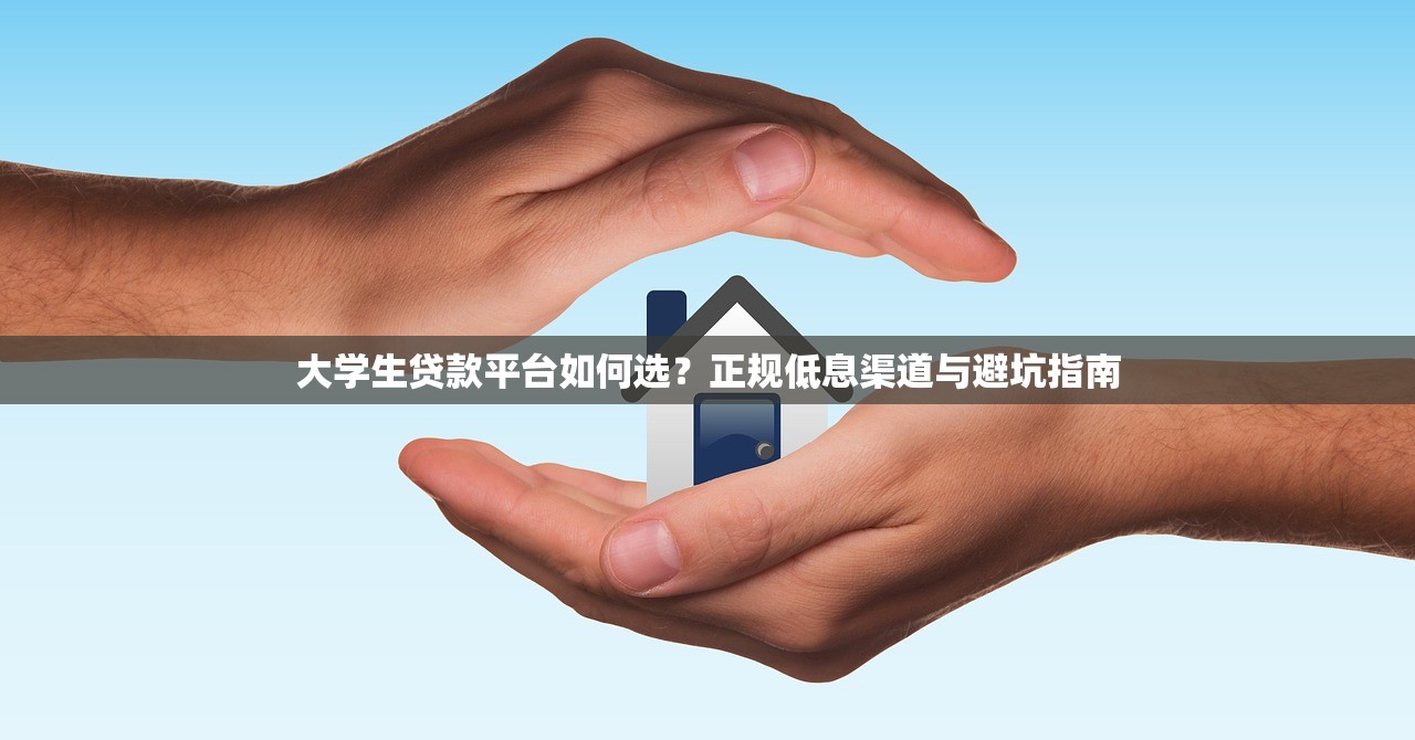 大学生贷款平台如何选？正规低息渠道与避坑指南
