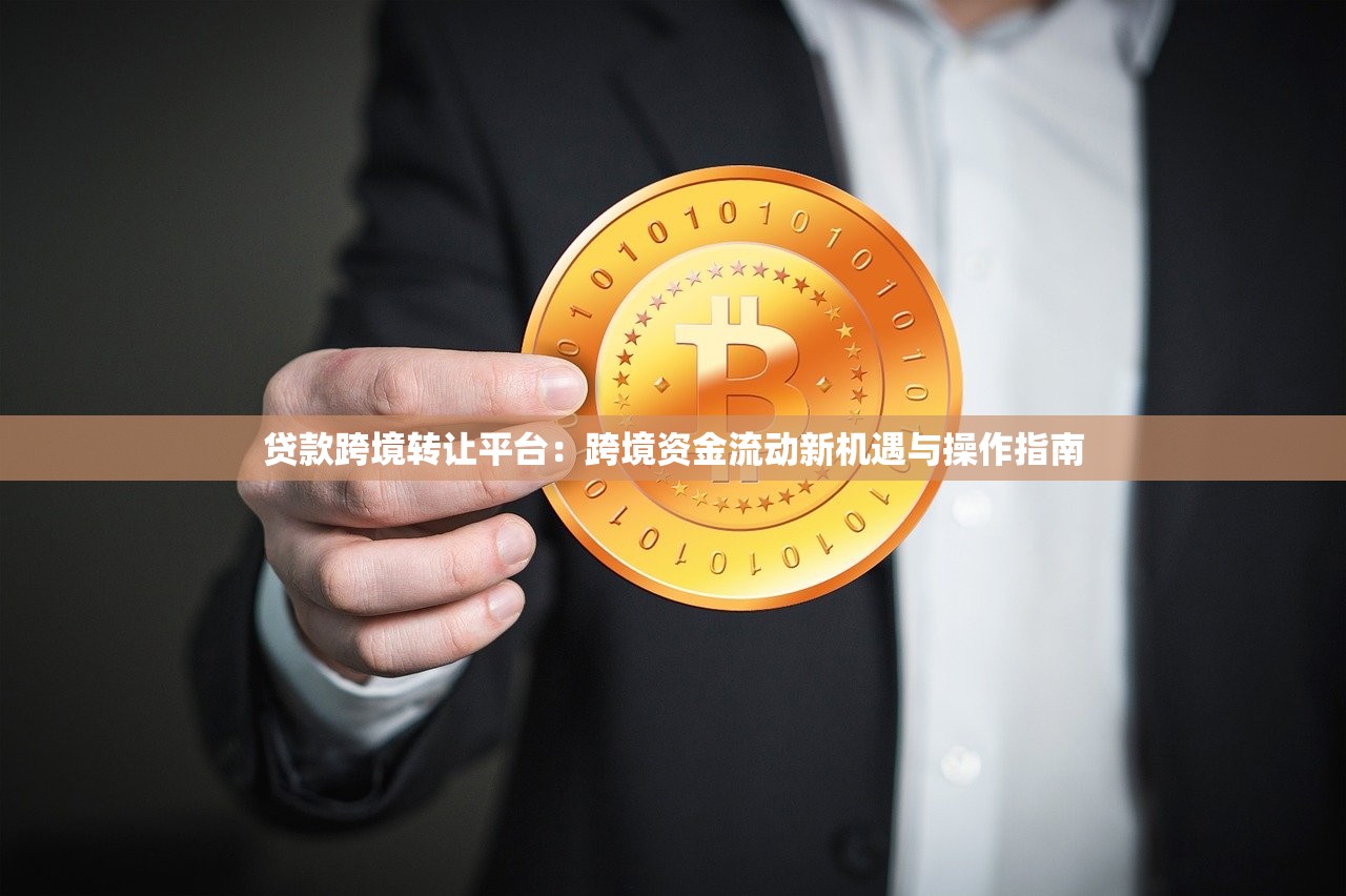 贷款跨境转让平台：跨境资金流动新机遇与操作指南