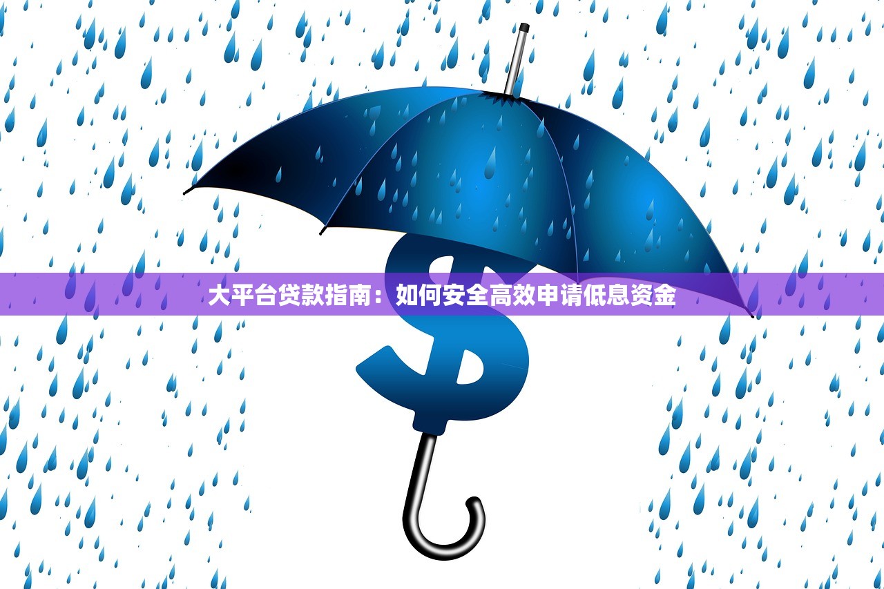 大平台贷款指南：如何安全高效申请低息资金