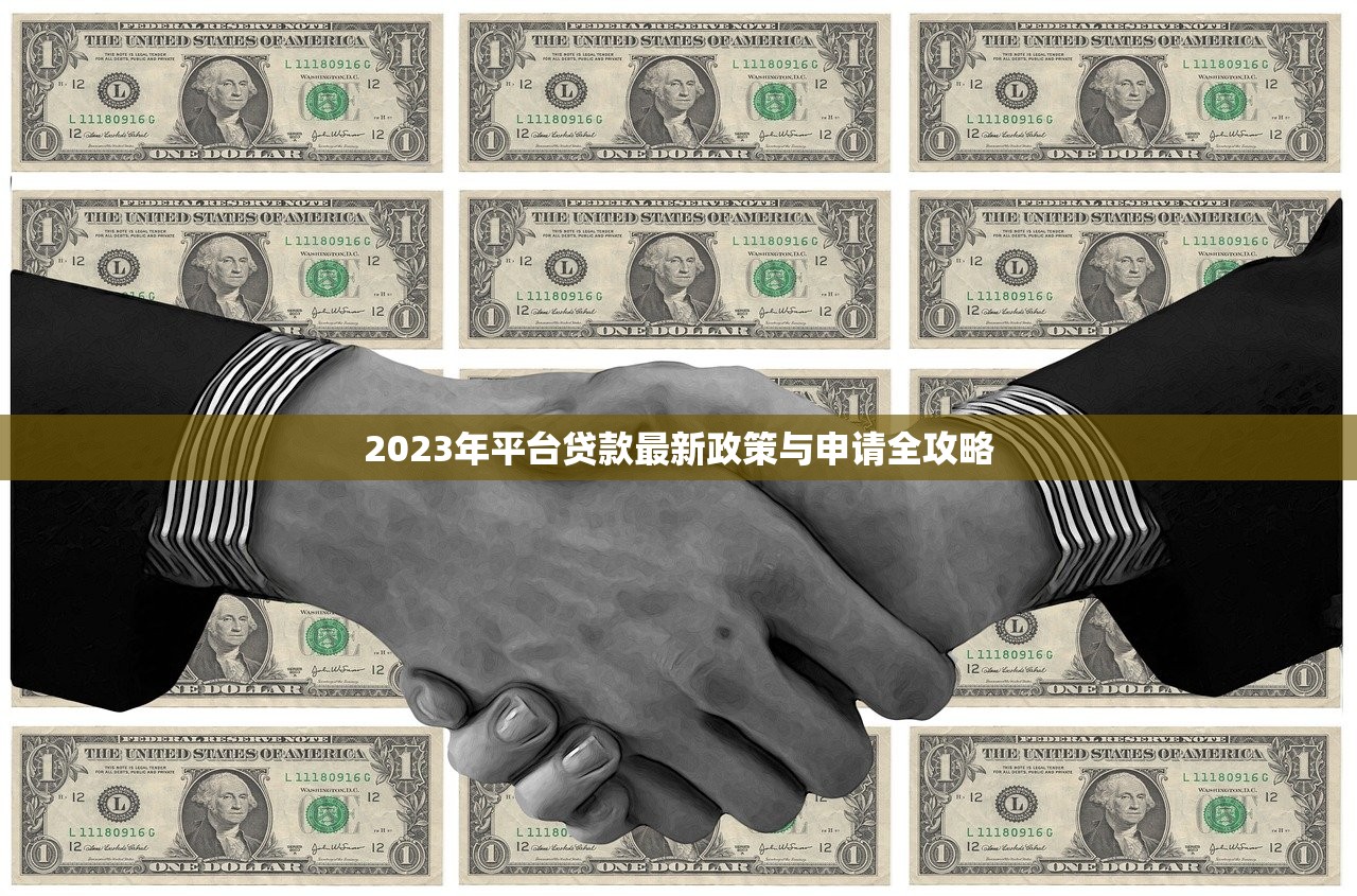 2023年平台贷款最新政策与申请全攻略
