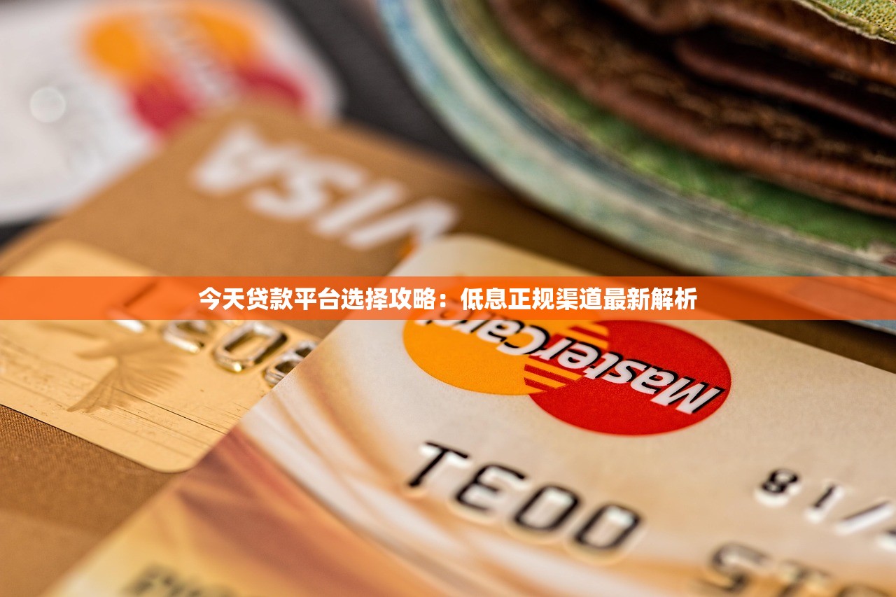 今天贷款平台选择攻略：低息正规渠道最新解析