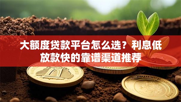 大额度贷款平台怎么选？利息低放款快的靠谱渠道推荐