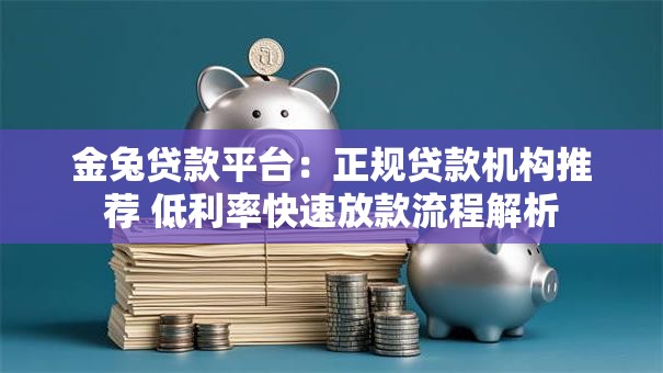 金兔贷款平台：正规贷款机构推荐 低利率快速放款流程解析