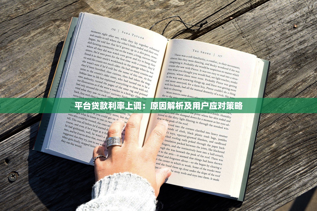 平台贷款利率上调：原因解析及用户应对策略