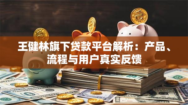 王健林旗下贷款平台解析：产品、流程与用户真实反馈