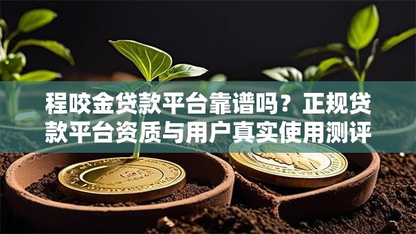 程咬金贷款平台靠谱吗？正规贷款平台资质与用户真实使用测评