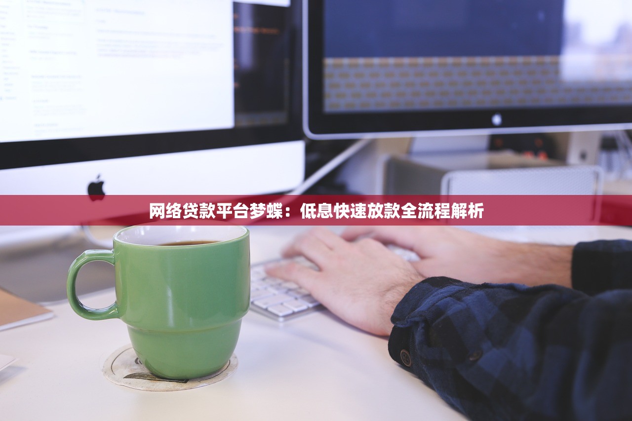 网络贷款平台梦蝶：低息快速放款全流程解析