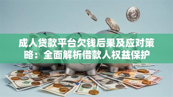 成人贷款平台欠钱后果及应对策略：全面解析借款人权益保护