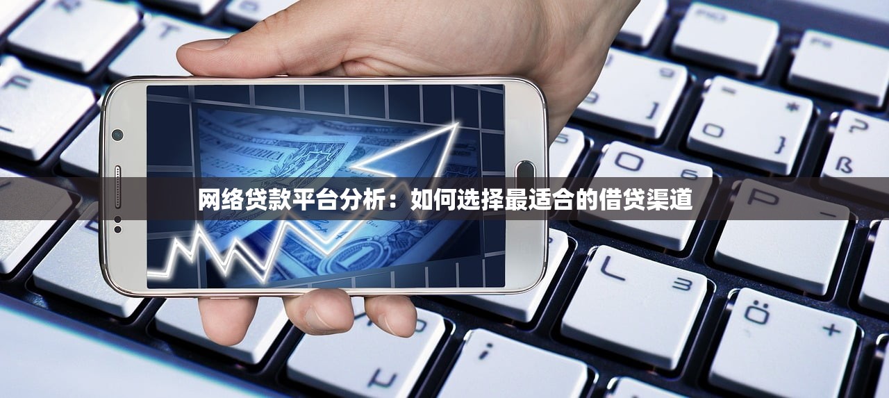 网络贷款平台分析:如何选择最适合的借贷渠道 网络贷款平台分析:如何选择最适合的借贷渠道