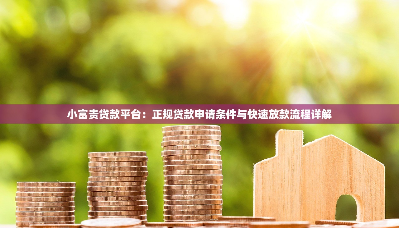 小富贵贷款平台：正规贷款申请条件与快速放款流程详解