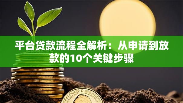 平台贷款流程全解析：从申请到放款的10个关键步骤
