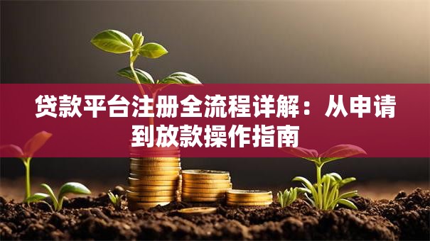 贷款平台注册全流程详解：从申请到放款操作指南