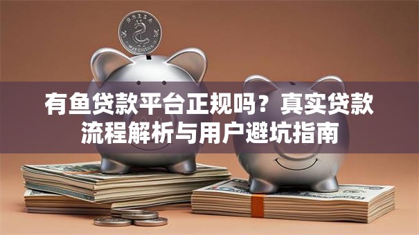 有鱼贷款平台正规吗？真实贷款流程解析与用户避坑指南