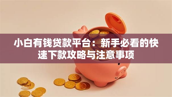 小白有钱贷款平台：新手必看的快速下款攻略与注意事项