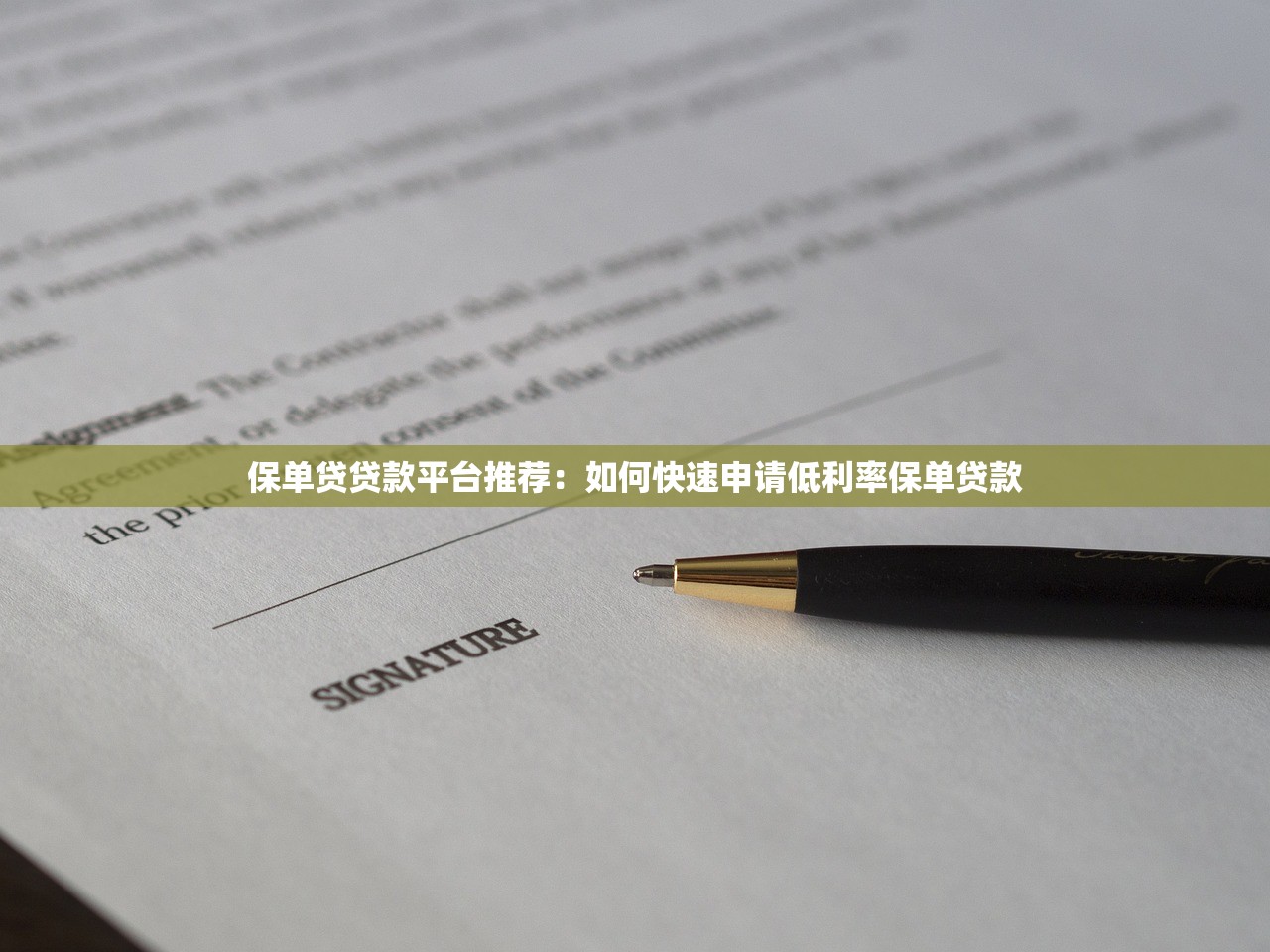 保单贷贷款平台推荐：如何快速申请低利率保单贷款