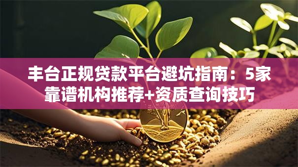 丰台正规贷款平台避坑指南：5家靠谱机构推荐+资质查询技巧