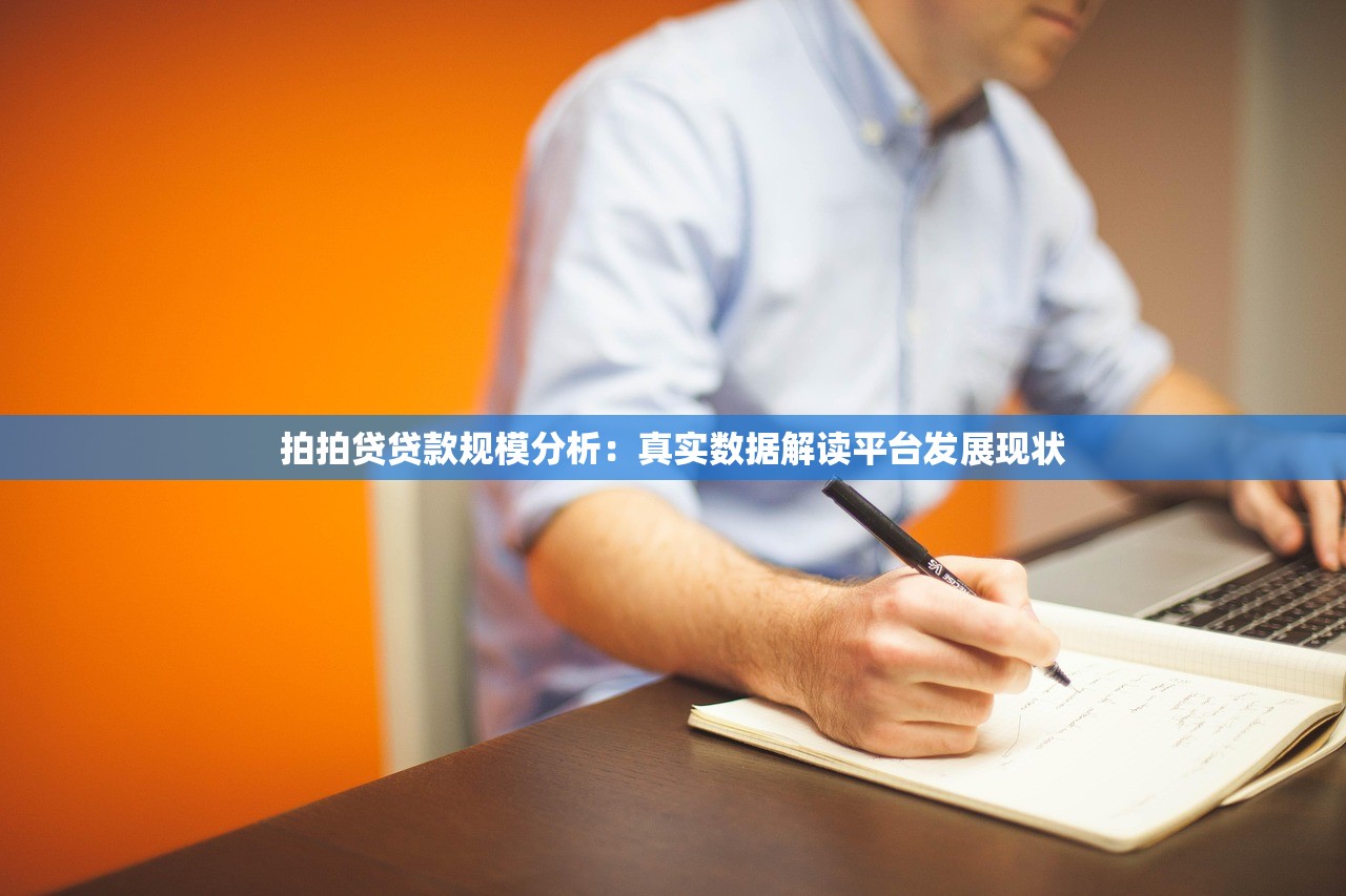 拍拍贷贷款规模分析:真实数据解读平台发展现状 拍拍贷贷款规模分析:真实数据解读平台发展现状