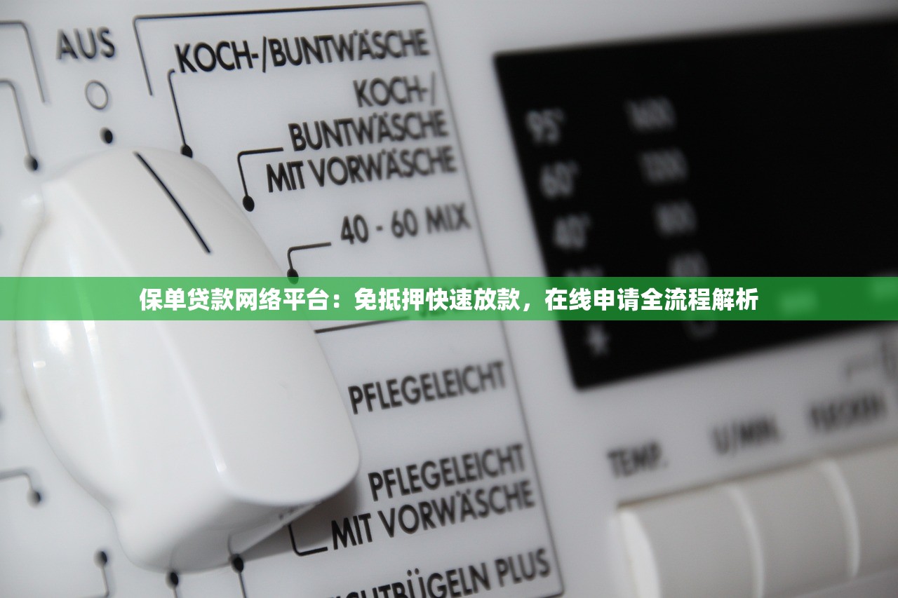 保单贷款网络平台：免抵押快速放款，在线申请全流程解析